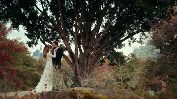 Unga par förälskade nygifta nära stora höga träd. — Stockvideo