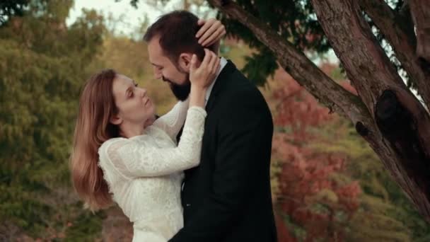 Pareja joven enamorada recién casados cerca de gran árbol alto . — Vídeo de stock