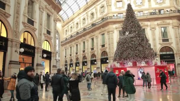 Люди ходят по магазинам возле елки в галерее Vittorio Emanuele Ii — стоковое видео