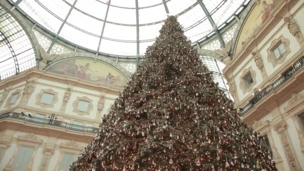 Low Angle View Of Christmas Tree In Galleria Vittorio Emanuele Ii. — Stock Video