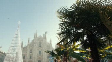 Ünlü Duomo Katedrali İtalya, Milano, Metal Çerçeve Noel Ağacı, Palmiye Ağaçları