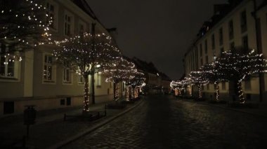 Gece Sokağı, kaldırımda süslenmiş parlak ağaçlar. Işık Aydınlatma.