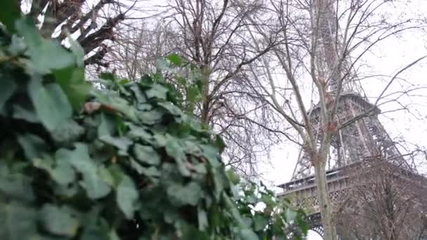 The Famous French Metal Eiffel Tower in Paris Європейський романтичний символ любові. — стокове відео