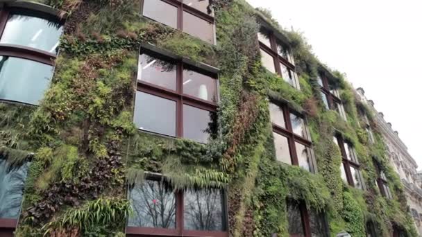 Jardim Vegetal Le Mur, Museu Quai Branly, Living Wall, Jean Nouvel — Vídeo de Stock