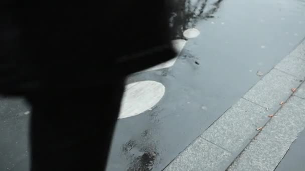 Bicicleta passa ao longo de um caminho de bicicleta. Asfalto molhado depois da chuva. Nas Marcas da Estrada — Vídeo de Stock