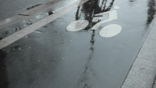 Fietspassen langs een fietspad. Natte asfalt na regen. Op de wegmarkeringen — Stockvideo