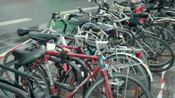 Sok bicikli, biciklis parkolás. Az emberek elhagyták a járműveiket. A fémkeret meg volt kötve. — Stock videók