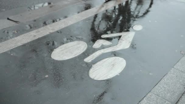 Bicicleta passa ao longo de um caminho de bicicleta. Asfalto molhado depois da chuva. Nas Marcas da Estrada — Vídeo de Stock