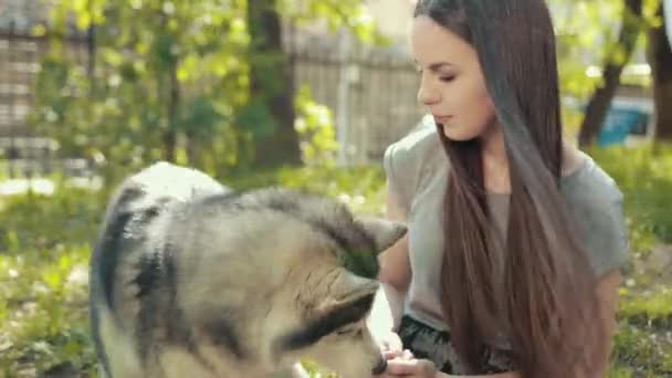 Junge Frau mit braunen Augen, brünetten Kampf und Umarmung Siberian Husky Dog. — Stockvideo