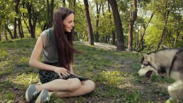 Atrakcyjna młoda blondynka zabawia się z rasowym syberyjskim psem Husky 'm, In Park — Wideo stockowe