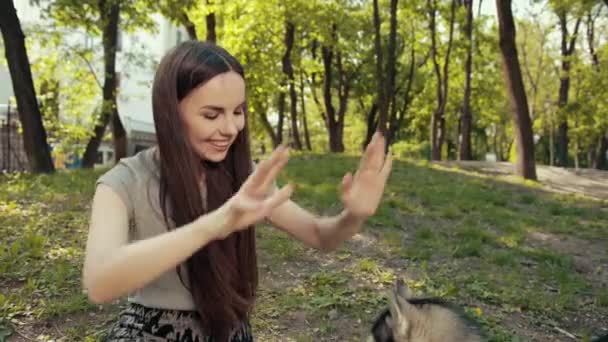 Приваблива молода блондинка грається з чистокровним сибірським хаскі-собакою в парку, — стокове відео