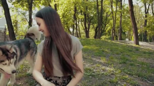 매력적 인 젊은 금발의 여인 이 붉은 시베리아 허스키 개와 공원에서 노는 모습, — 비디오