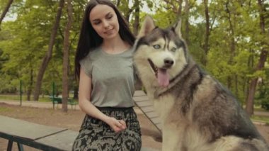 Çekici bir sarışın kadın parkta safkan Sibiryalı Husky Köpeğiyle oynuyor.