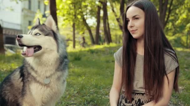 Una atractiva joven rubia jugar con pura raza perro Husky siberiano en el parque — Vídeo de stock