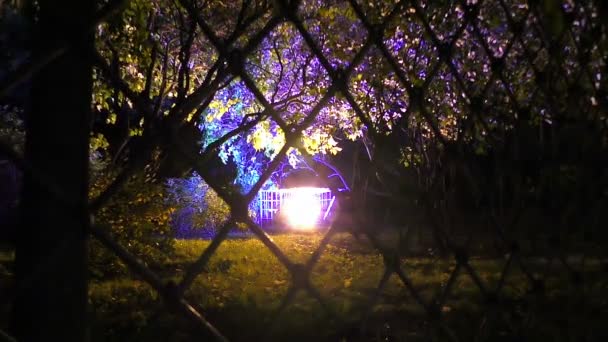 De bomen zijn in beweging onder een prachtige nacht licht via de balken — Stockvideo