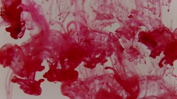 Red dye in water — Stock Video