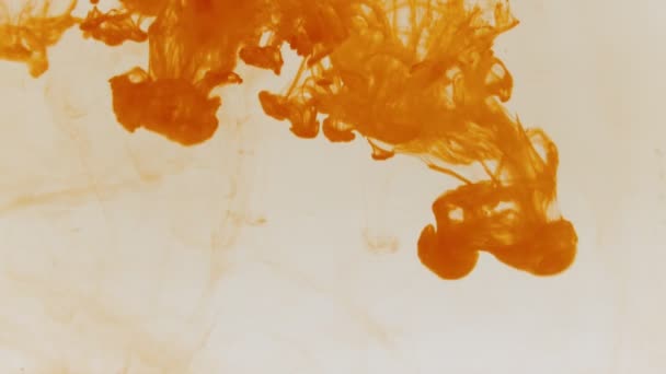 Orangenfarbstoff im Wasser — Stockvideo