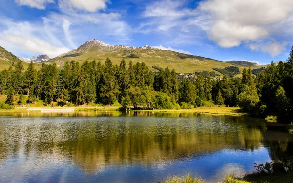 Bergsee-Champferer sehen Spiegelungen Stockbild