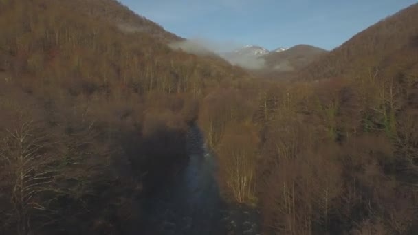 Drone sinekler üzerinde dağlarda Sochi sarı ağaçlar ve nehrin dibinde akar — Stok video