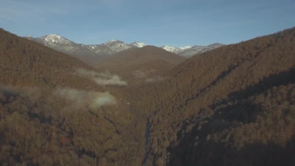 Drone voa sobre montanhas em Sochi, no fundo das árvores amarelas e os fluxos de rio Vídeos De Bancos De Imagens Sem Royalties