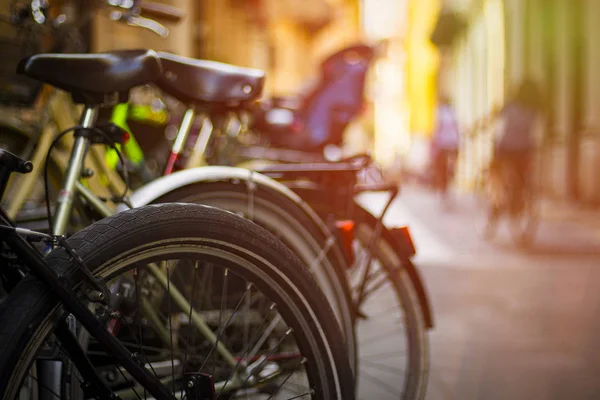 Bicycles on the street