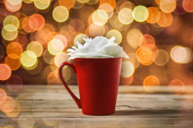 Güzel kompozisyon. Kırmızı bir bardak beyaz bir gül çiçek bir Woo