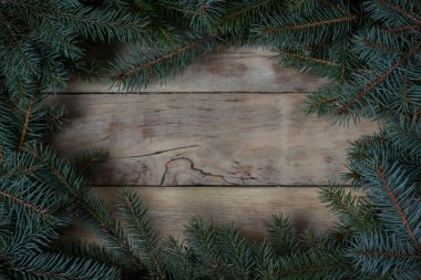 ahşap zemin çam dalları