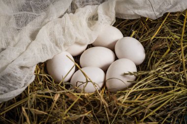 Saman yuvadaki yumurta gazlı bez ile kaplı. Çiftlik kavramı