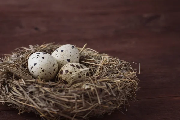 Křepelčí vejce v hnízdě na tmavě hnědé dřevěné pozadí — Stock fotografie