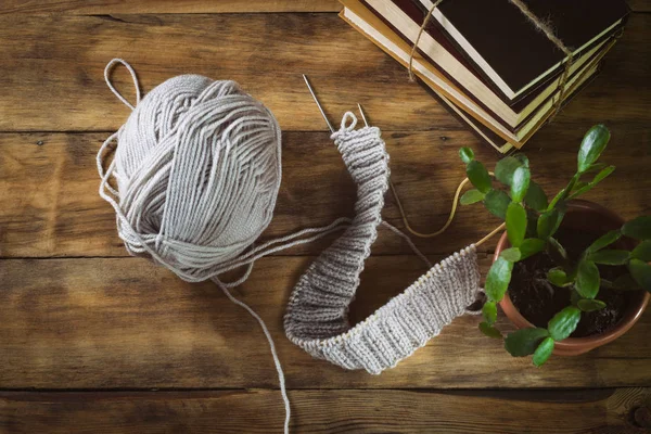 光の灰色ニット針編み、本と鉢植えの花 — ストック写真