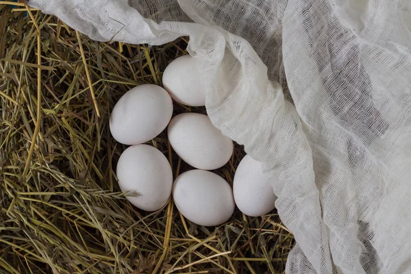 Fehér csirke tojások a fészekben fehér szövet fedi. Lapos l — Stock Fotó