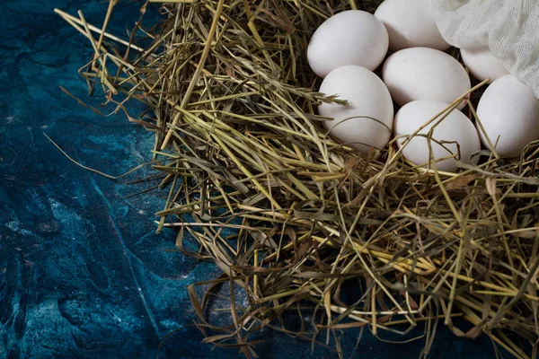 Τα αυγά στη φωλιά στο μπλε φόντο. Χώρο αντίγραφο — Φωτογραφία Αρχείου