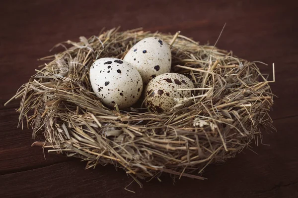 Quail eggs in a nest on a dark brown wooden background. Village — Stock Photo, Image