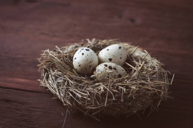 Ahşap masa üzerinde kuş Bıldırcın yumurta yuva
