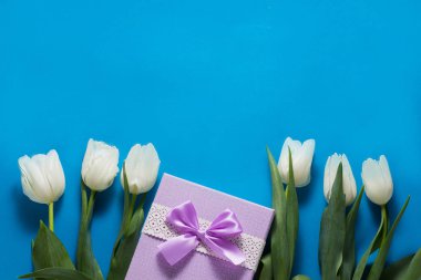 Lale ve hediye mavi zemin üzerine beyaz. Bahar kavramı
