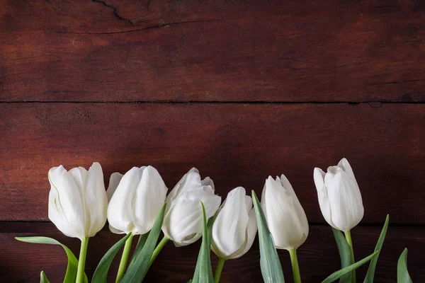 Tulipanes blancos sobre fondo de madera oscura. Concepto de primavera — Foto de Stock
