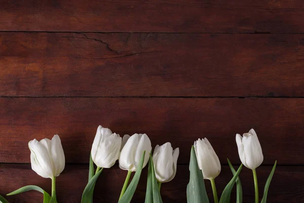 Tulipanes blancos sobre fondo de madera oscura. Concepto de primavera — Foto de Stock