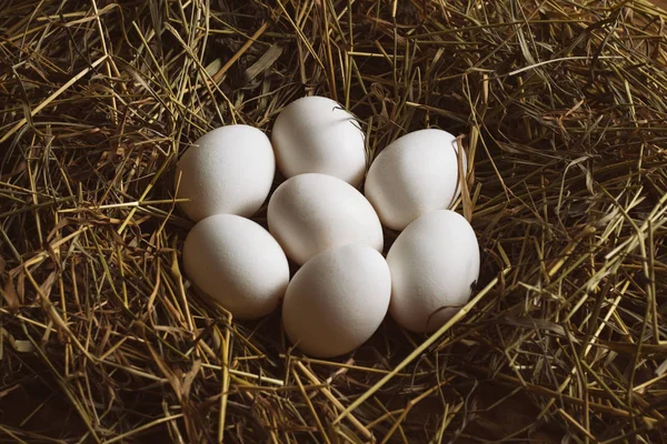 Fehér csirke tojás a széna, a fa háttér. Farm koncepció — Stock Fotó
