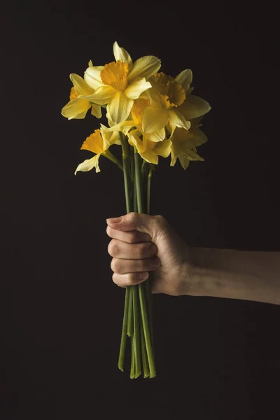 Mano femenina con un ramo de flores Narciso sobre un fondo oscuro —  Fotos de Stock