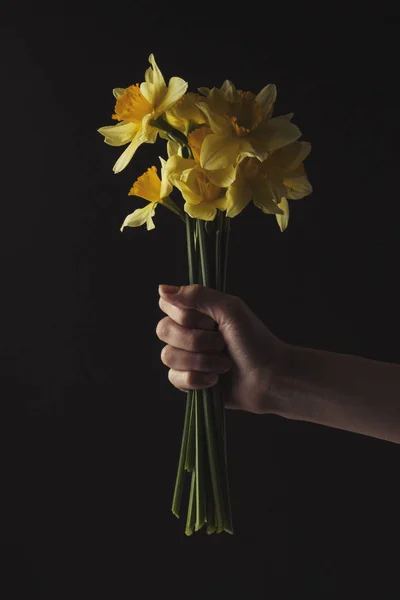 Mano femenina con un ramo de flores Narciso sobre un fondo oscuro —  Fotos de Stock