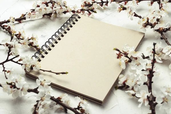 Cuaderno y una ramita de flores de cerezo sobre un fondo claro de — Foto de Stock