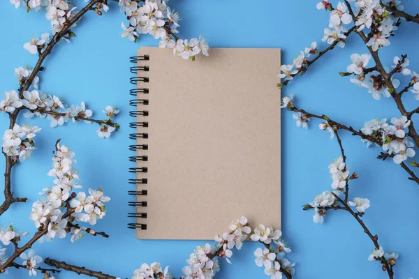 Ramas de cerezo con flores y cuaderno en un respaldo azul brillante — Foto de Stock