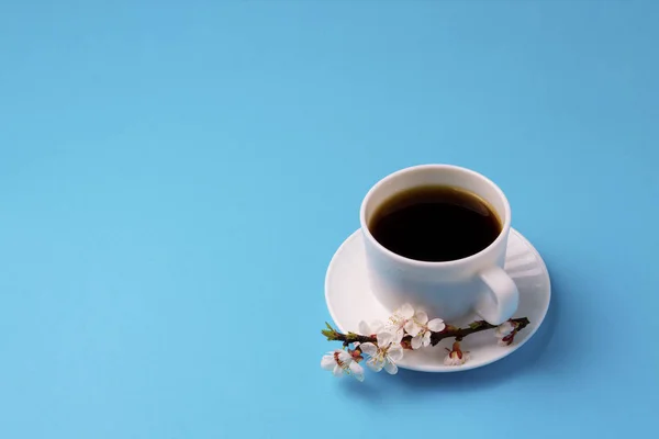 Minimalist style of the White Cup with Coffee and the Branch of — Stock Photo, Image