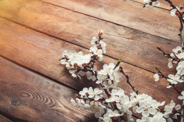 Sakura dalları ile koyu ahşap arka plan üzerinde çiçekler