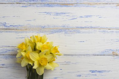 Sarı nergis beyaz eski püskü ahşap zemin üzerinde. Düz yatıyordu, 