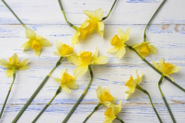 Sarı nergis beyaz eski püskü ahşap zemin üzerinde. Düz yatıyordu, 