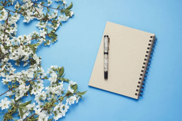 Bloc de notas, bolígrafo y rama de cereza con flores sobre un fondo azul — Foto de Stock