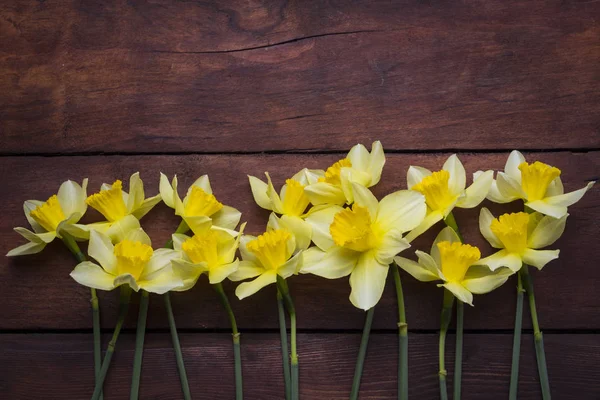 Flor de primavera Narciso sobre un fondo de madera oscura. Puesta plana, t — Foto de Stock