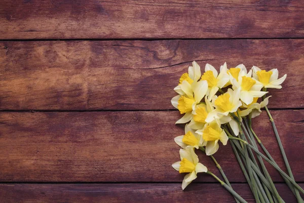 Flor de primavera Narciso sobre un fondo de madera oscura. Puesta plana, t — Foto de Stock