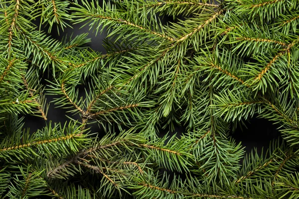 Kerstboomtakken. Kerstconcept, natuur, winter. Achtergrond voor ansichtkaarten. Vlakke lay, bovenaanzicht — Stockfoto